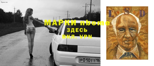 сатива Беломорск