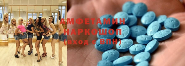 сатива Беломорск