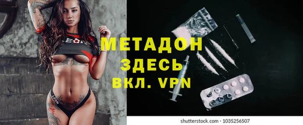 сатива Беломорск