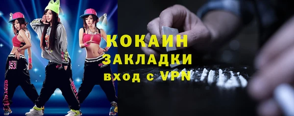 сатива Беломорск