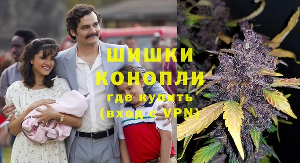 сатива Беломорск