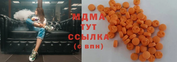 сатива Беломорск