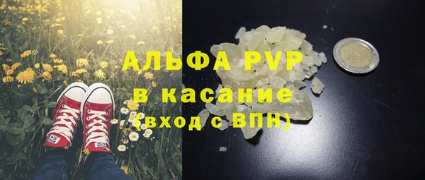 соль ск Белокуриха