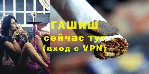 сатива Беломорск