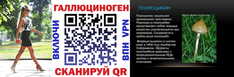 Псилоцибиновые грибы Psilocybine cubensis  ссылка на мегу рабочий сайт  Кстово  купить наркотик 