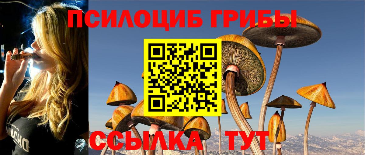 Псилоцибиновые грибы мухоморы Кстово