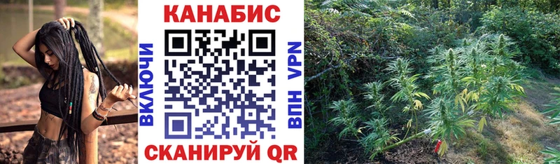 МАРИХУАНА White Widow  магазин продажи наркотиков  Кстово 